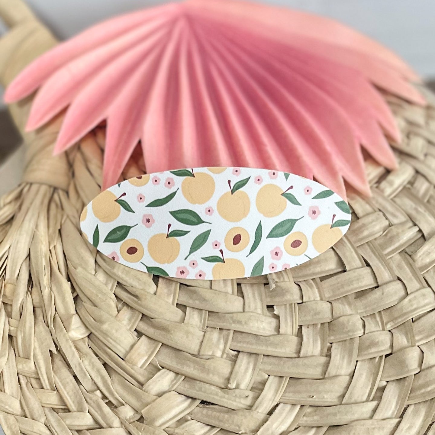 French Hair Barrette
