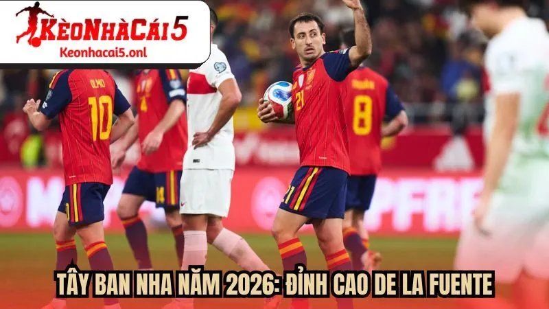 Tây Ban Nha năm 2026: Đỉnh cao De la Fuente